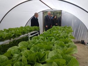 Köy Yaşam Merkezi’ndeki Seralarda Minik Ellerle Umutlar Yeşeriyor