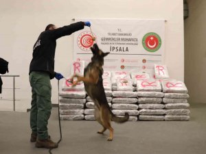 Yunanistan’dan Türkiye’ye Giriş Yapan Tırda 603 Kilo 500 Gram Skunk Ele Geçirildi