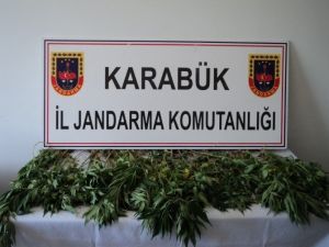 Karabük’te Uyuşturucu Operasyonu