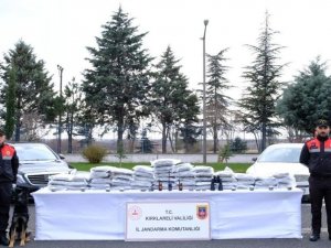 Kırklareli’nde Bir Yılda 2 Milyon 878 Bin 335 Kök Kenevir Ele Geçirildi