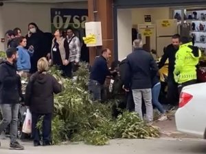 Kaldırımda Yürüyen Kadının Başına Ağaç Dalı Düştü
