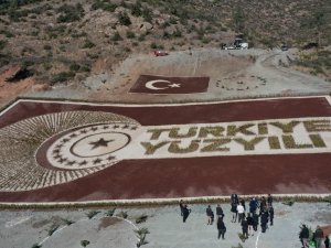 Osmaniye’de 28 Bin Fidanla Türkiye Yüzyılı Logosu Oluşturuldu