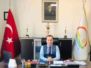 Zeytinde Hasat Sona Erdi, Üreticinin Yüzü Güldü