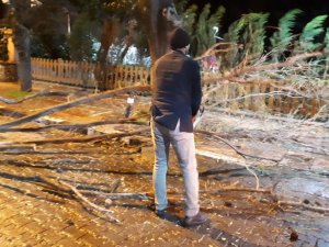 Fırtına Ağaçları Devirdi, Çatıları Uçurdu