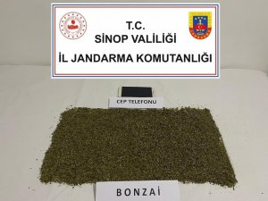 Boyabat’ta Bonzai Operasyonunda 1 Kişi Yakalandı