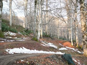 Kartepe’ye Yeni Mesire Alanı