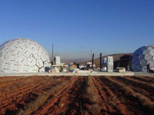 Dünyanın En Büyük Tek Parça Halindeki Lavanta Tarlasına Arı Müzesi Kuruluyor