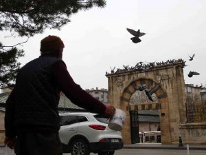 Sivas’taki 8 Asırlık Kuş Vakfiyesinin Dünyada Başka Bir Benzeri Bulunmuyor