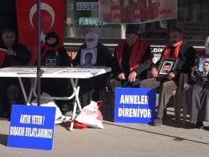 Muş’taki Annelerin Eylemi 90 Haftayı Doldurdu