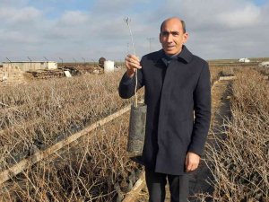 Dtso Bölgesel Kalkınma İçin Projeler Üretmeye Devam Ediyor