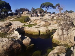 İ̇stanbul’dan Gelen Doğaseverler Latmos’a Destek