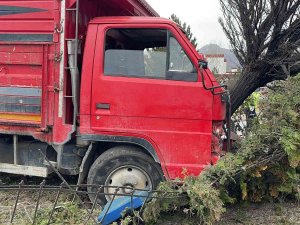Canlı Hayvan Taşıyan Kamyonet Ağaca Çarptı, 2 Kişi Yaralandı