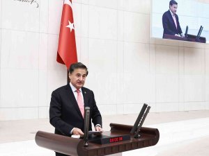 Doğalgaz Mart Ayı Sonunda Hizmete Alınacak