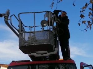 Ağaca Takılan Kargayı İtfaiye Kurtardı