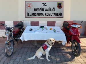 Mersin’de Uyuşturucu Satan Şüpheli Jandarma Tarafından Yakalandı