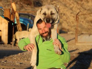 Kar Yağmadı, Anadolu Aslanı Kış Zırhını Giyemedi