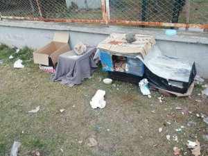Kediler Üşümesin Diye Kartondan Evler Yaptılar