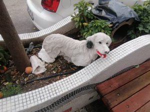 İ̇ş Yerinin Önündeki 25 Liralık Köpek Maketlerini Çaldılar