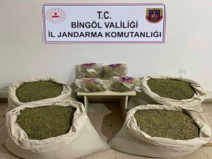 Bingöl’de Kökünü Kurutma Operasyonu: 145 Kilo Esrar Ele Geçirildi