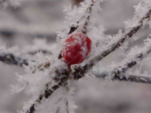 Göle Eksi 22,4 Derece İle Dondu