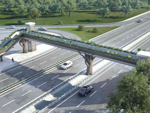 Ormanya’ya Doğa Temalı Üst Geçit