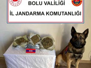 Çantalarında Uyuşturucu Taşıyan Şüpheliler Dedektör Köpeğe Takıldı