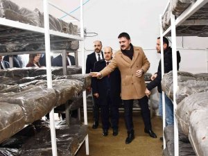 Madde Bağımlıları Bu Köyde Tedavi Ediliyor