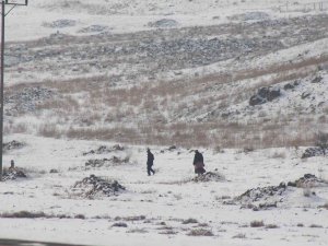 Iğdır’ın Yüksek Kesimlerinde Kar Etkili Oluyor