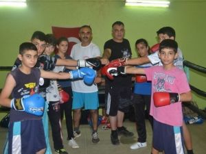 Adanalı Minik Boksörler Madalya Peşinde