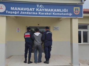 30 Yıl Kesinleşmiş Hapis Cezası Olan Şahıs Zeytinyağı Fabrikasında Yakalandı