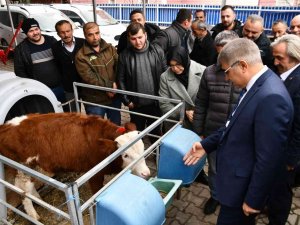 "Etçi Ve Kombine Irkların Yaygınlaştırılması" Projesi Genişliyor