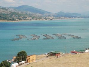 Almus, Alabalık Üretimiyle Adından Söz Ettiriyor