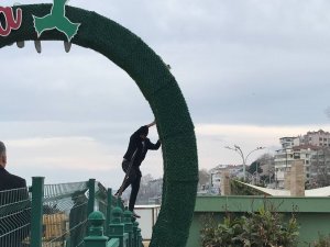Reklam Panosunda Mahsur Kalan Kedi Zor Anlar Yaşattı
