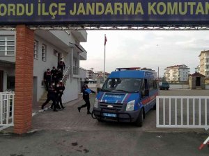 Ordu’da Jandarma 1 Yılda 7 Binden Fazla Şüpheliyi Yakaladı