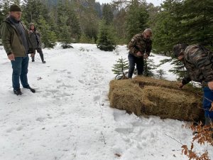 Yaban Hayvanları İçin Seferber Oldular