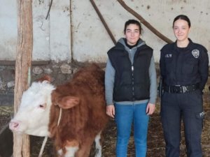Isparta’da Kaybolan Hediyelik Düveyi Polis Buldu