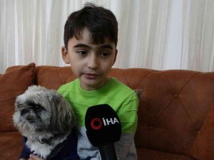 Pendik’te Okula Giden 10 Yaşındaki Çocuğu Sokak Köpekleri Saldırdı