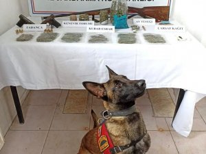 Jandarma Zehir Tacirlerine Göz Açtırmıyor