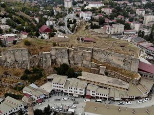 Bitlis’te Kar Yağmaması Su Kaynaklarını Kuruttu