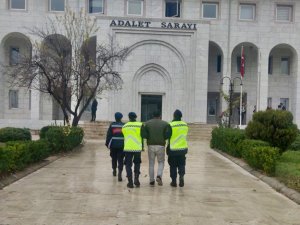 Terör Örgütü Üyesi Milas’ta Yakalandı