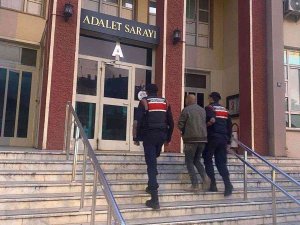 Aydın’da Jandarma 4 Aranan Şahsı Yakaladı