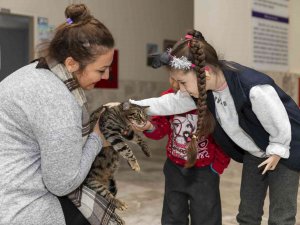 Minik Ela’ya ’Kedi Evi’ Sürprizi