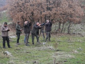 Karakoçan’da Yaban Keçisi Envanter Çalışması Yapıldı