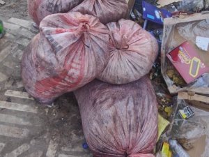 Zeytin Hırsızları Suçüstü Yakalandı