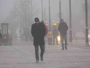 Balık Tüketimi Kış Mevsiminin Neden Olduğu Depresyonu Önleyebilir