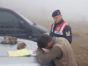 Koruma Altındaki Keklikleri Vurdular, Cezadan Kaçamadılar