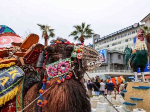 Pehlivan Develer Görücüye Çıkıyor