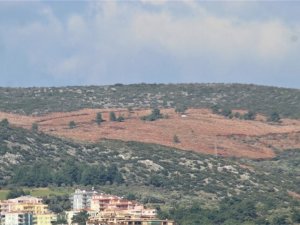 Kuşadası’nda Kamu Arazisi Operasyonunda 4 Tutuklama