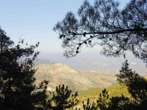 Eskişehir Trekking Grubu Samrı’dan Çaltı’ya Doğru Yürüyüş Yaptı
