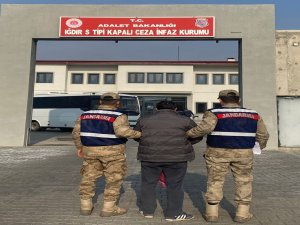 Iğdır’da Hakkında Kesinleşmiş Hapis Cezası Bulunan Kişi Tutuklandı